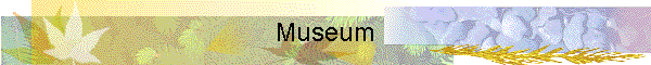 Museum