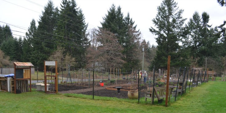 The Fox Island Community Garden